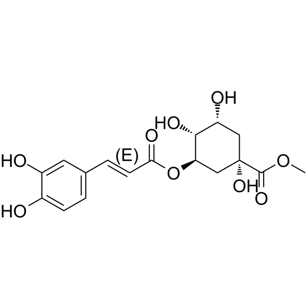 3-O-Caffeoylquinic acid methyl ester 123483-19-2